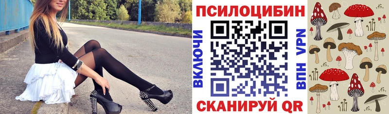 Псилоцибиновые грибы Cubensis  Можга 